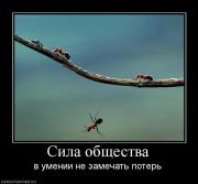 Прикрепленное изображение: 838690_sila_obschestva.jpg