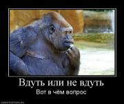 Прикрепленное изображение: 885832_vdut_ili_ne_vdut.jpg