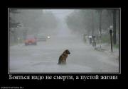 Прикрепленное изображение: 495382_boyatsya_nado_ne_smerti_a_pustoj_zhizni.jpg