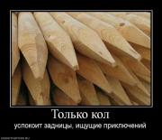 Прикрепленное изображение: 664410_tolko_kol.jpg