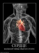 Прикрепленное изображение: 63601_serdtse.jpg