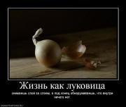 Прикрепленное изображение: 567534_zhizn_kak_lukovitsa.jpg