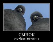 Прикрепленное изображение: 3.jpg