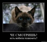 Прикрепленное изображение: 7.jpg