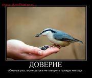 Прикрепленное изображение: 8.jpg