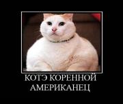 Прикрепленное изображение: 14.jpg