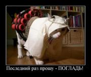 Прикрепленное изображение: 17.jpg