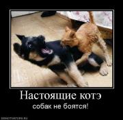 Прикрепленное изображение: 18.jpeg