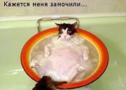 Прикрепленное изображение: ________________________13_.jpg