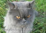 Прикрепленное изображение: ________________________47_.jpg