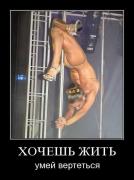 Прикрепленное изображение: ______129_.jpg