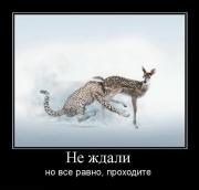 Прикрепленное изображение: ______94_.jpg