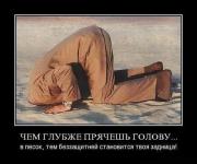 Прикрепленное изображение: ______52_.jpg