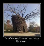 Прикрепленное изображение: ______76_.jpg