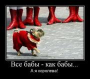 Прикрепленное изображение: ______101_.jpg