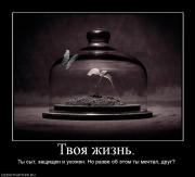 Прикрепленное изображение: 792629_tvoya_zhizn.jpg