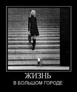 Прикрепленное изображение: 1124279K.jpg