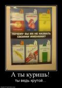 Прикрепленное изображение: 463434_a_tyi_kurish.jpg