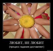 Прикрепленное изображение: asct4i9uqdam.jpg