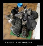 Прикрепленное изображение: qwcxu9tq4dvj.jpg