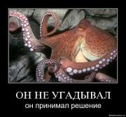 Прикрепленное изображение: wrl6g8pkc0lw.jpg