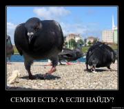 Прикрепленное изображение: 4074q0tjn4hu.jpg