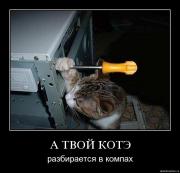 Прикрепленное изображение: oghz46euzv3x.jpg