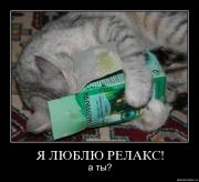 Прикрепленное изображение: xfuo7ngvr2nf.jpg