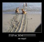 Прикрепленное изображение: 07qdkyjvdofh.jpg