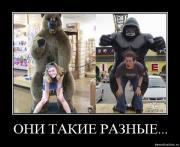 Прикрепленное изображение: 90teupcevwvm.jpg