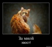 Прикрепленное изображение: xj1vrom2e2jy.jpg