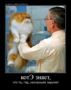 Прикрепленное изображение: 4241277869412.jpg