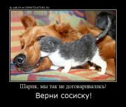 Прикрепленное изображение: 6331277874351.jpg