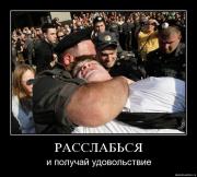 Прикрепленное изображение: cdqczqo4fhdk.jpg