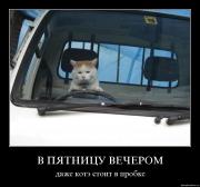 Прикрепленное изображение: 5alhk0j7g9k1.jpg