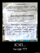 Прикрепленное изображение: 8ucn6jv3e9zr.jpg