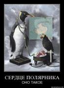 Прикрепленное изображение: www.demotivations.infoevtldqs7p6a3.jpg