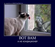 Прикрепленное изображение: 7661281557302.jpg