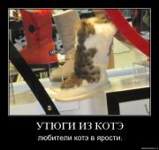 Прикрепленное изображение: z3i1wxd37tm5.jpg