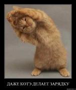 Прикрепленное изображение: emk1axx2flid.jpg