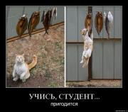 Прикрепленное изображение: bjrss51z809w.jpg