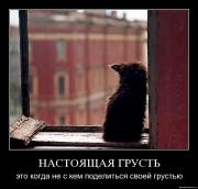 Прикрепленное изображение: bwnko8aeu4lw.jpg