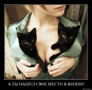 Прикрепленное изображение: e8qkarxk7dzt.jpg