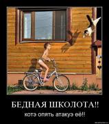 Прикрепленное изображение: qmbdrq095xnc.jpg