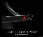 Прикрепленное изображение: 9fihi50g75fz.jpg