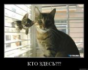 Прикрепленное изображение: s4q5que4999y.jpg