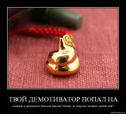 Прикрепленное изображение: 3lvvex2rf9tu.jpg