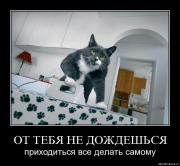 Прикрепленное изображение: 5c28h43dpkg0.jpg