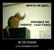 Прикрепленное изображение: 9l8ggert8uvz.jpg