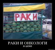 Прикрепленное изображение: 067gmec2z1ak.jpg